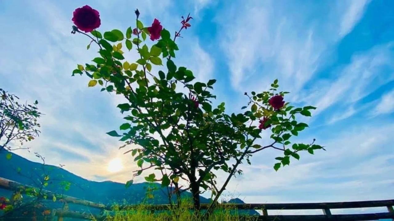 Ha Lu Homestay 老街市 外观 照片
