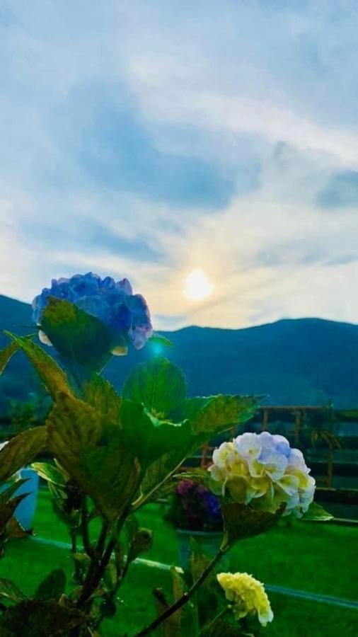 Ha Lu Homestay 老街市 外观 照片